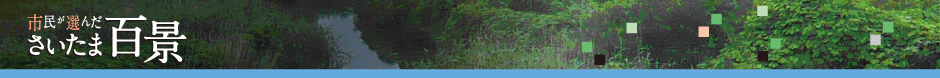 さいたま百景