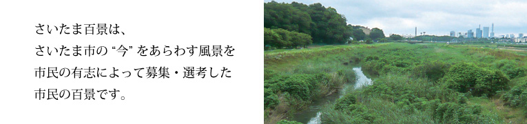 さいたま百景は、さいたま市の“今”をあらわす風景を市民の有志によって募集・選考した市民の百景です。