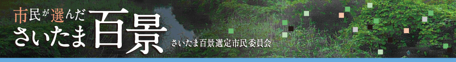 市民が選んださいたま百景
